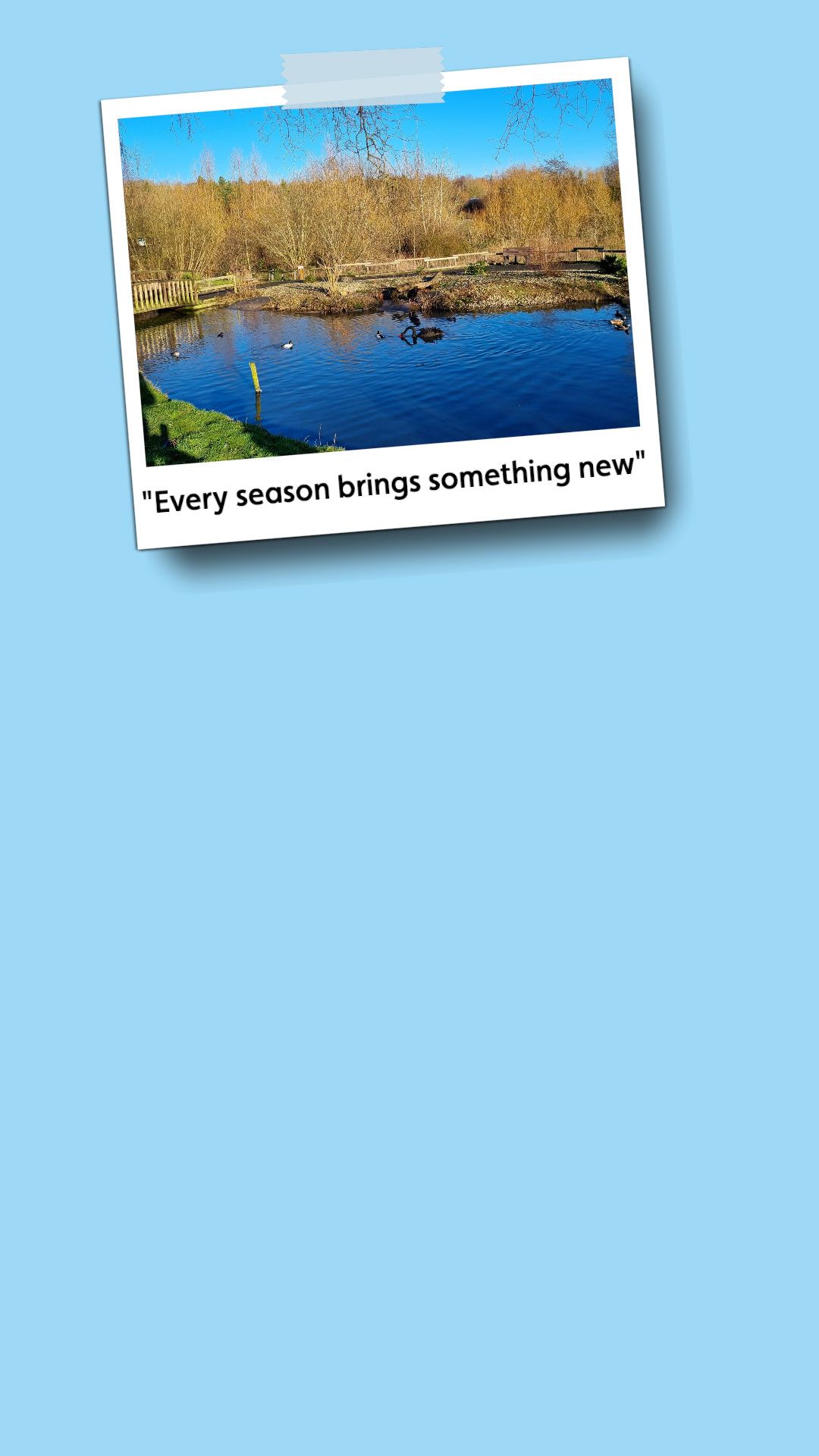 Polaroid picture of a wetland scene with the caption 'Every season brings something new'