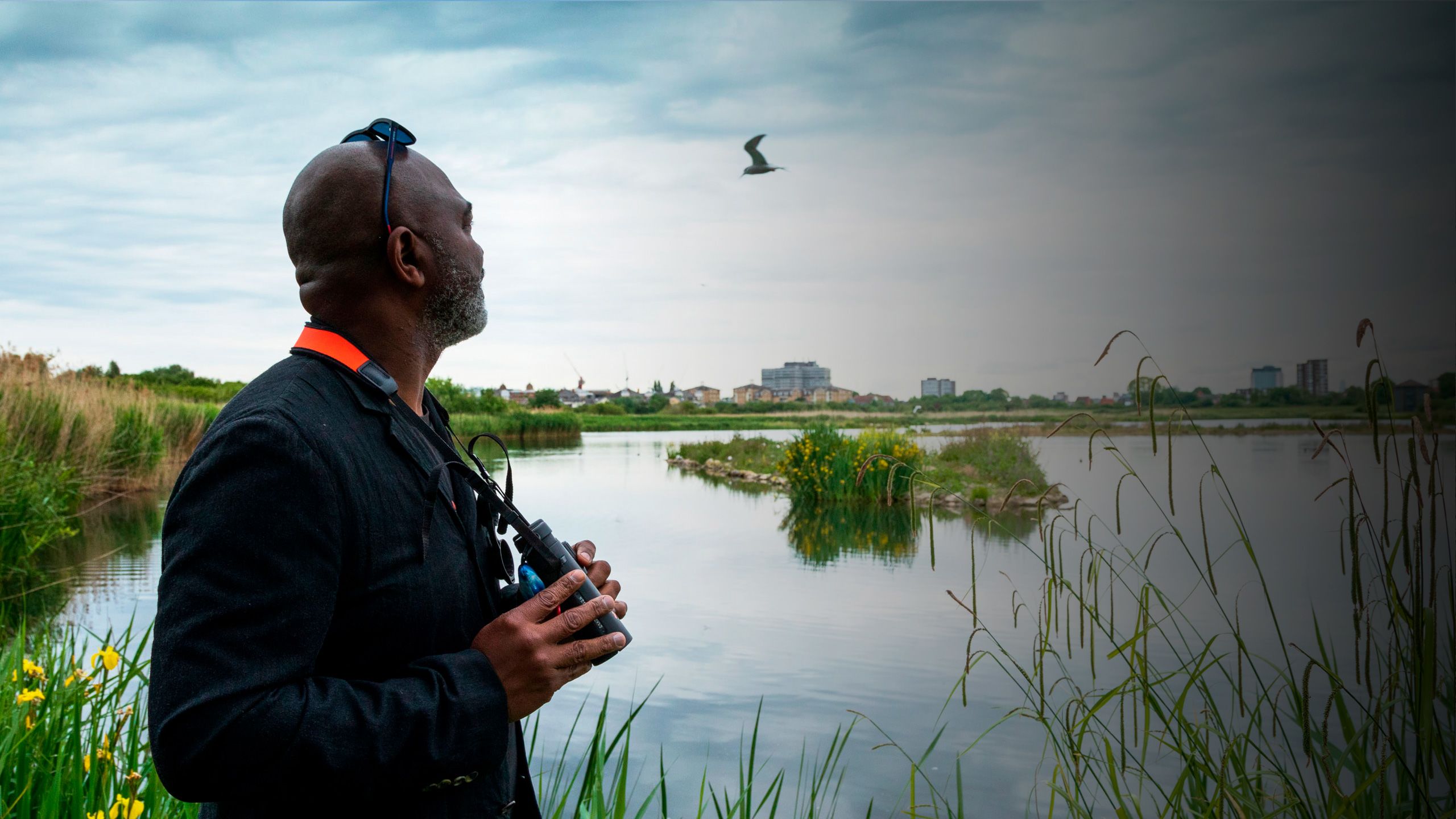 David Lindo looking up to the sky with binoculars in hand by a London wetland