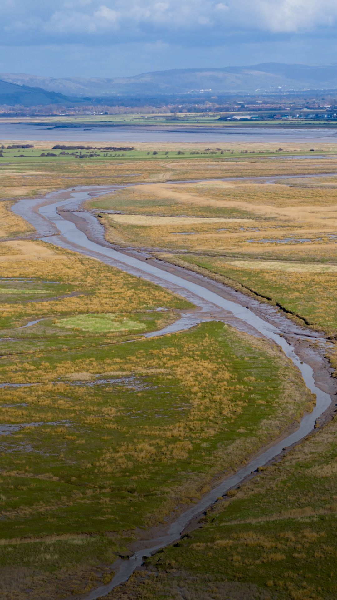 WWT Steart marshes at low tide