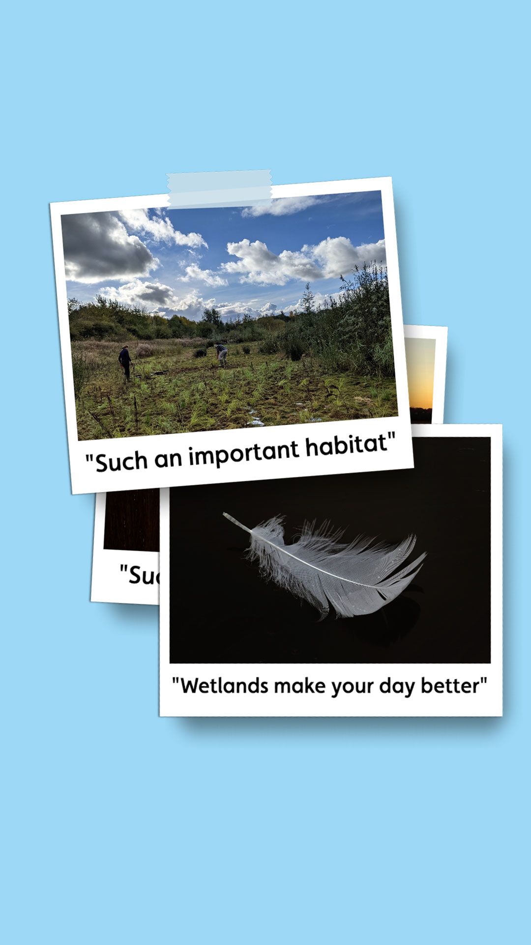 Polaroid picture of a dragonfly with the caption 'They are so full of life''