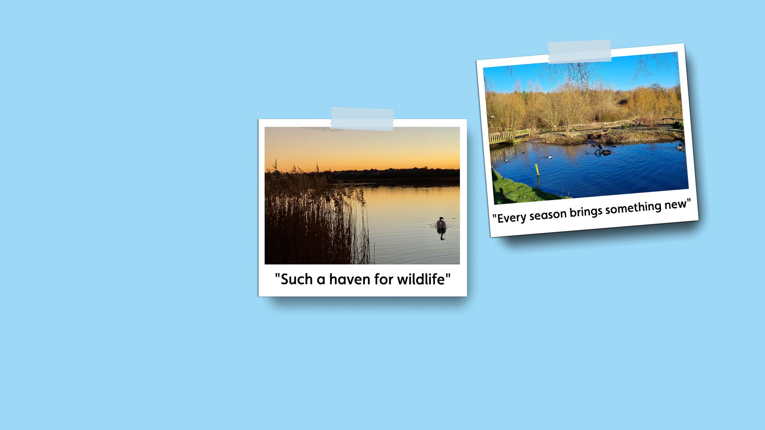 Polaroid picture of a wetland scene with the caption 'Such a haven for wildlife'