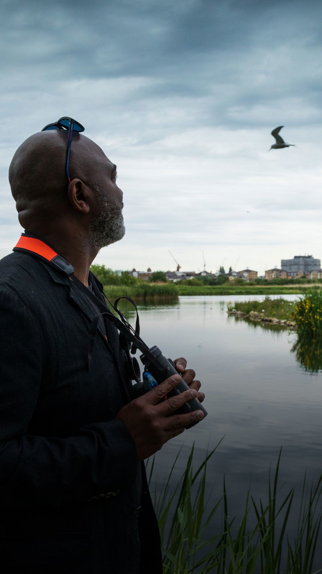 David Lindo looking up to the sky with binoculars in hand by a London wetland