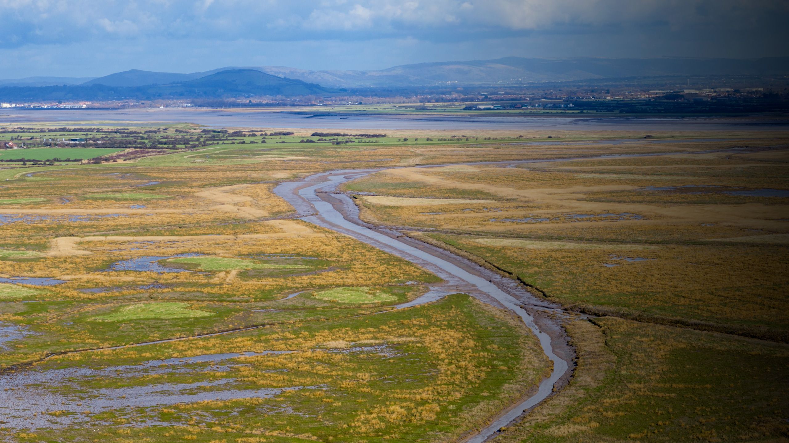 WWT Steart marshes at low tide