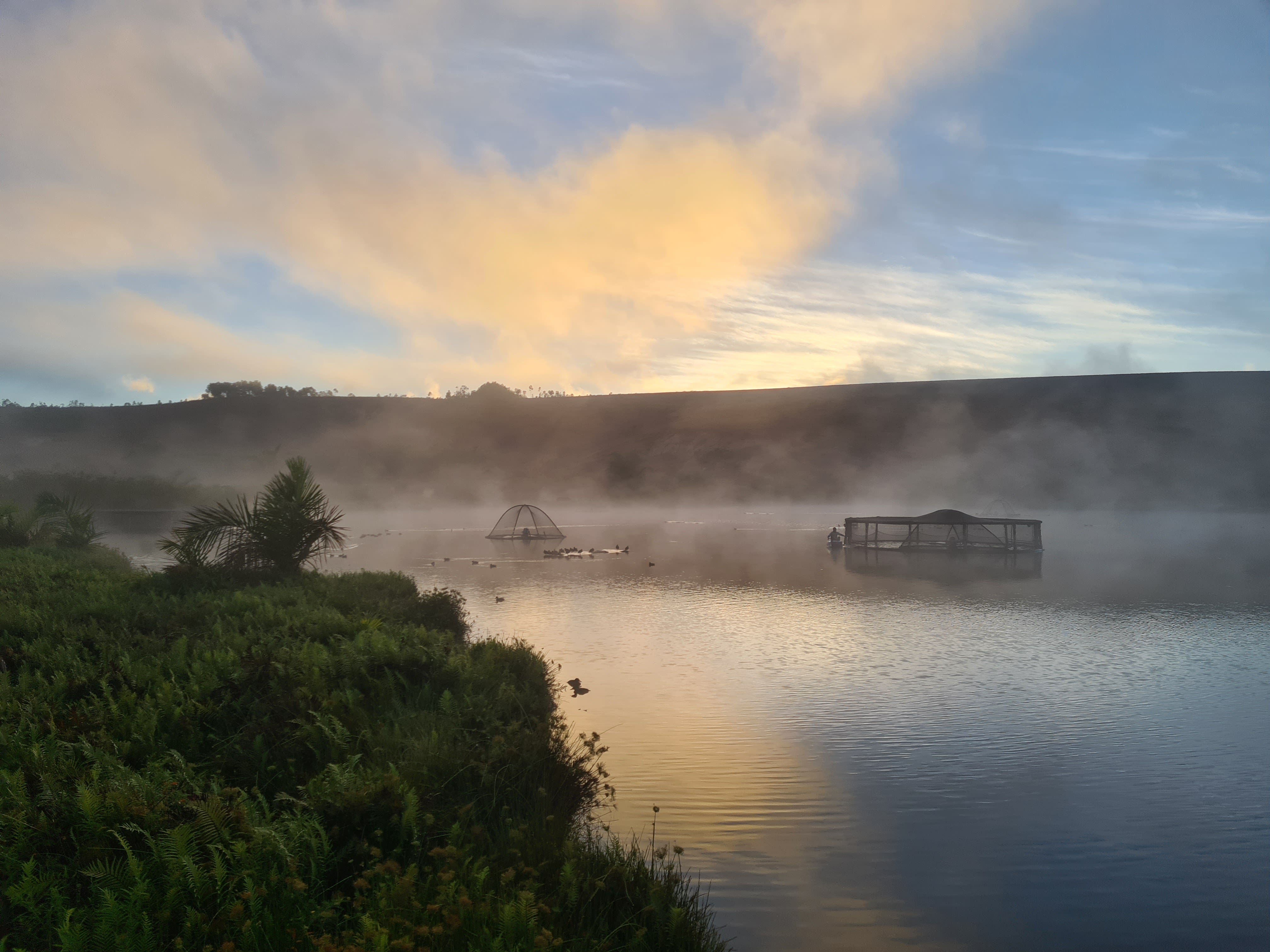 A view of a misty lake in Madagascar with the floating aviary from where the Madagascar Pochard were released