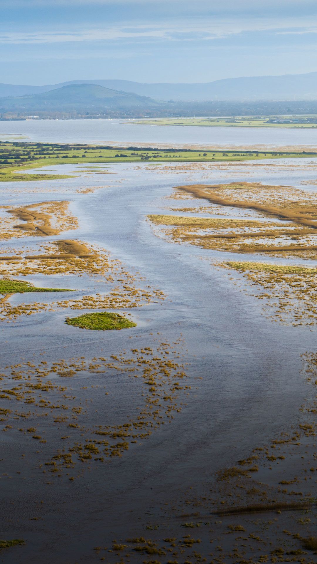 WWT Steart marshes at high tide