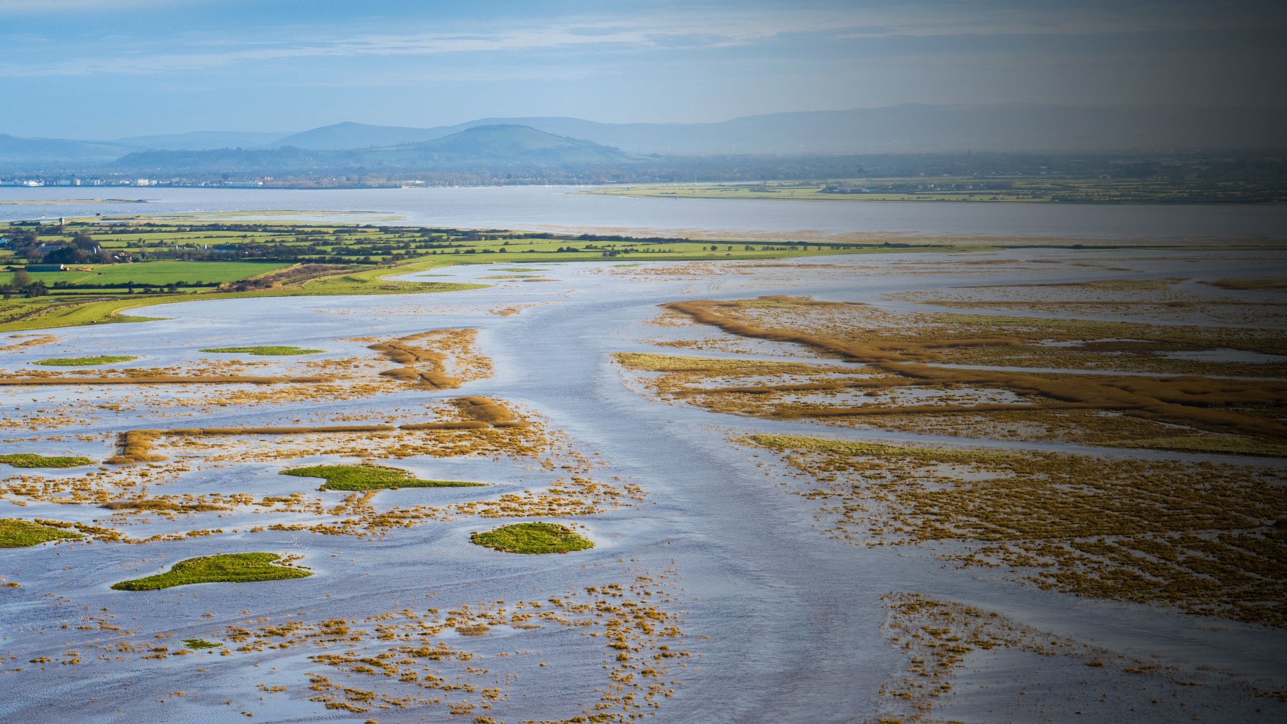 WWT Steart marshes at high tide