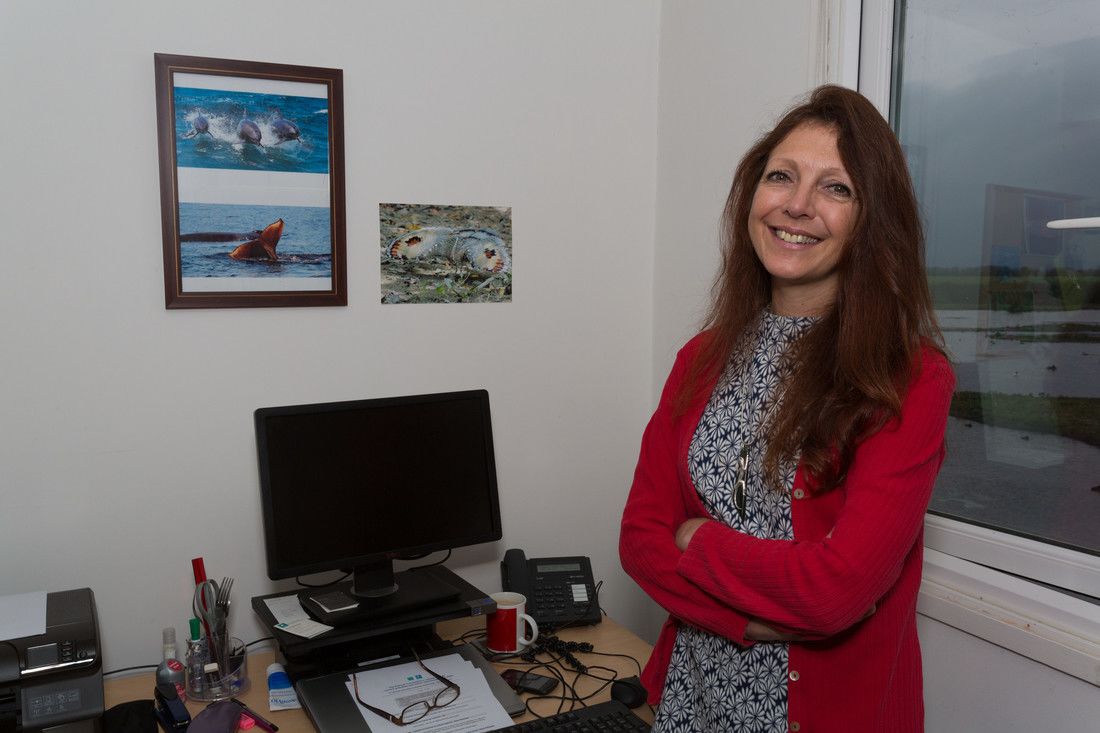 Photo of Professor Debbie Pain, who became WWT's Director of Conservation in 2008.  