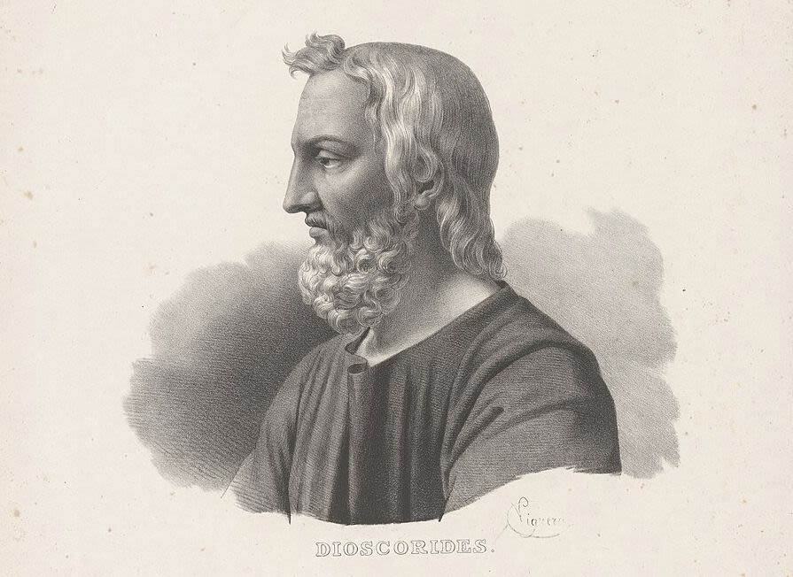 Dioscorides, the renowned Greek physician who observed centuries ago that 'lead makes the mind give way'.