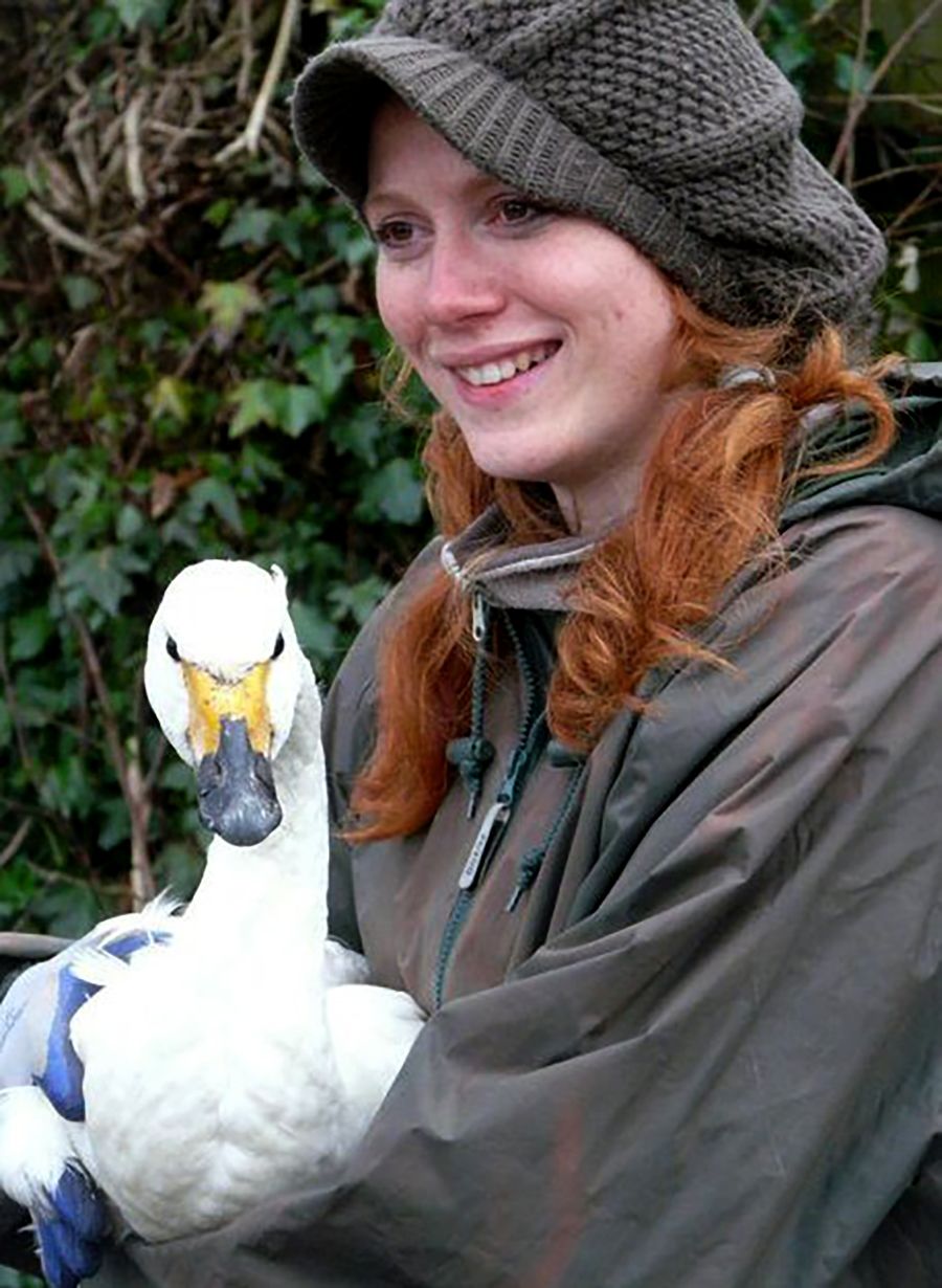 Dr Julia Newth, Ecosystem Health and Social Dimensions Manager at WWT holding a swan.