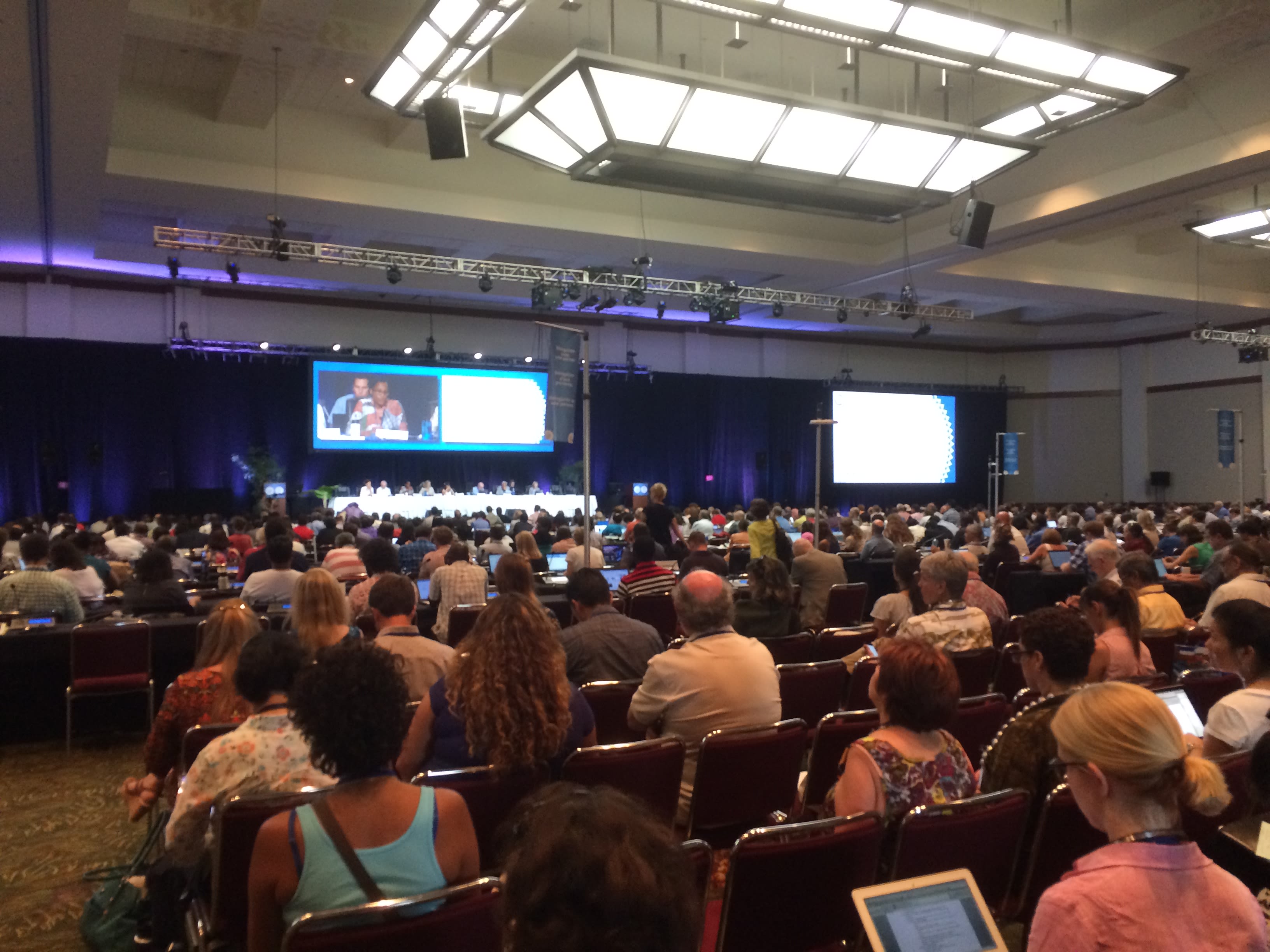 Delegates at the IUCN World Conservation Congress in Hawaii, 2016. 