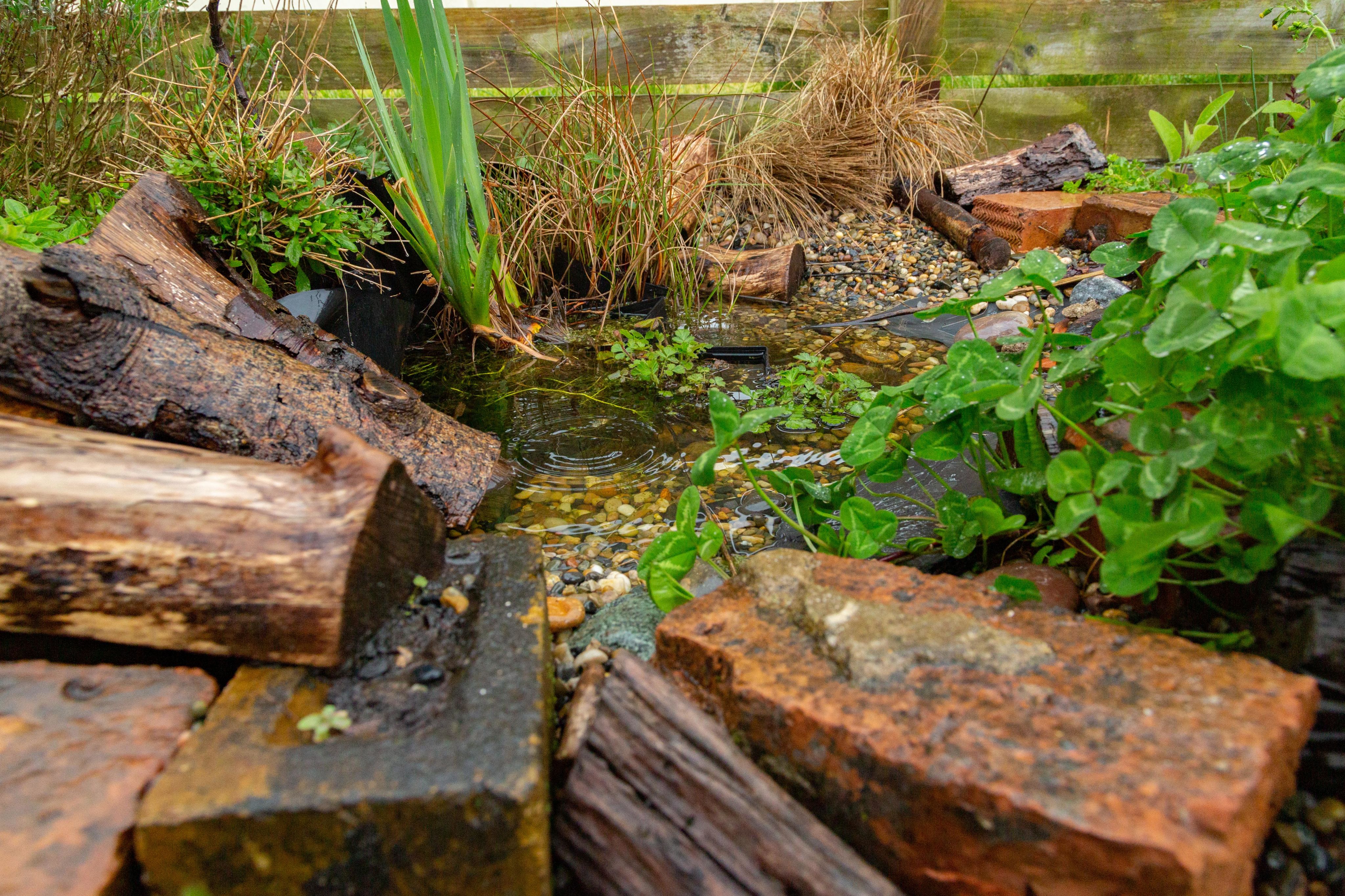 Small garden pond with green foliage and surrounded by logs and rocks