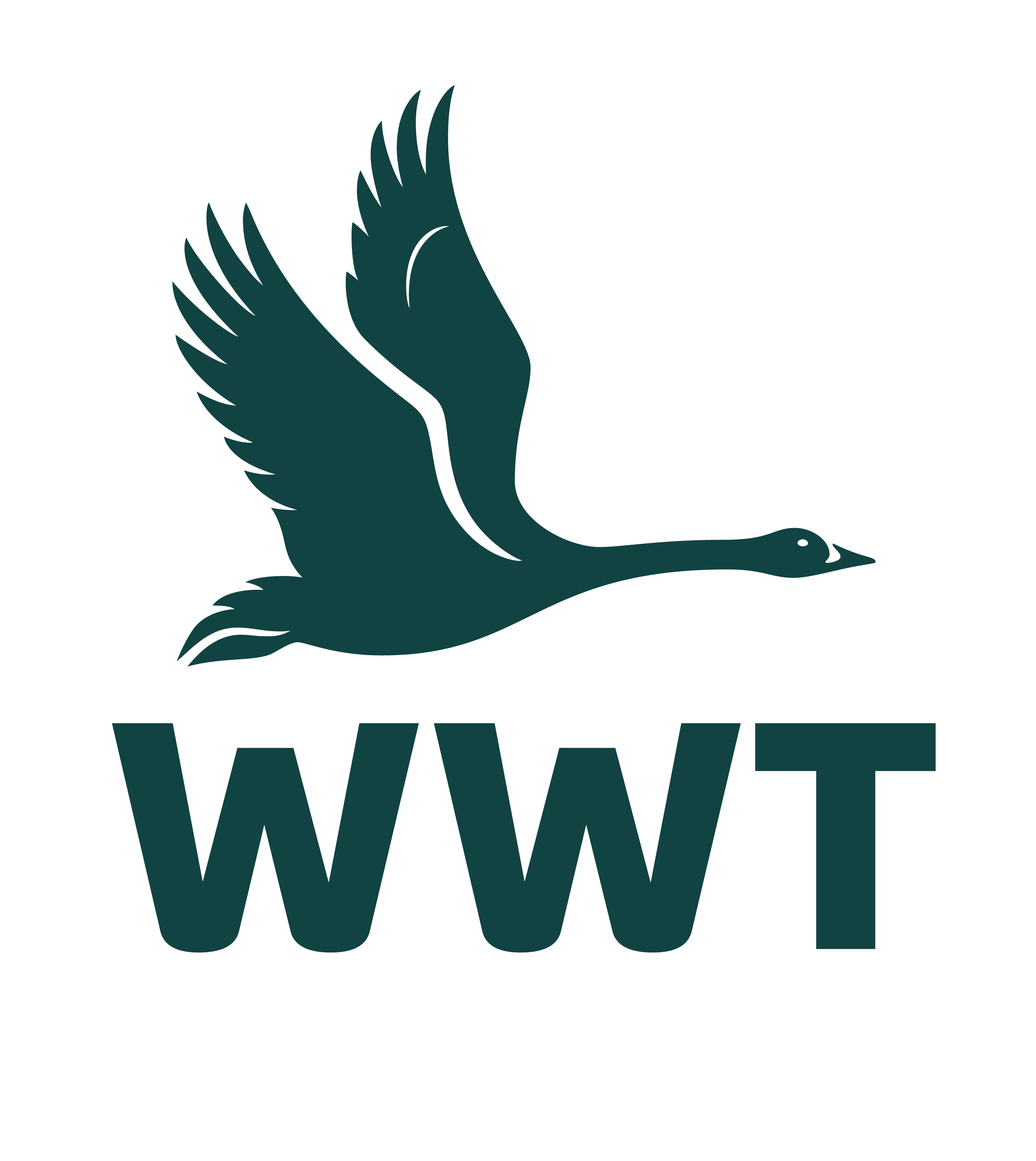 WWT